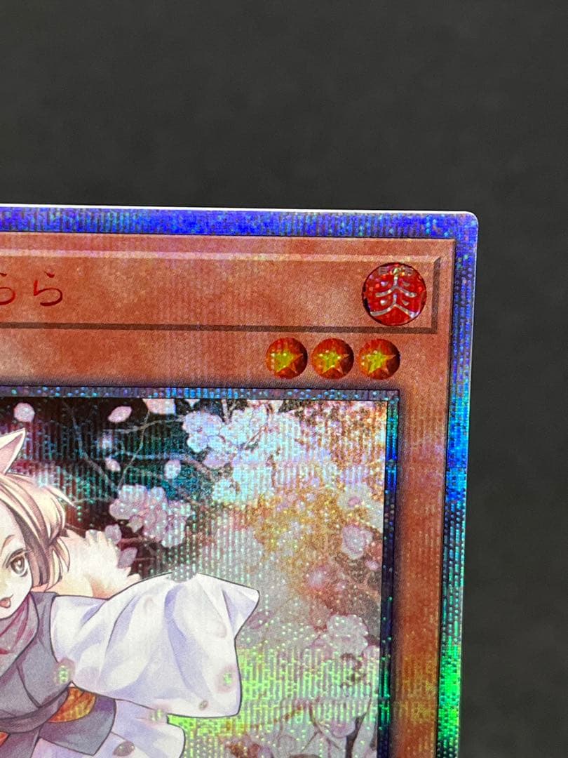 遊戯王　灰流うらら　20th シークレット