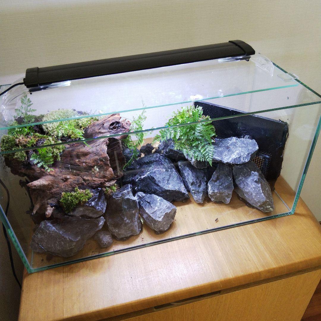 【完成品】滝のあるアクアテラリウム　イモリウム　苔テラリウム　アクアテラリウム