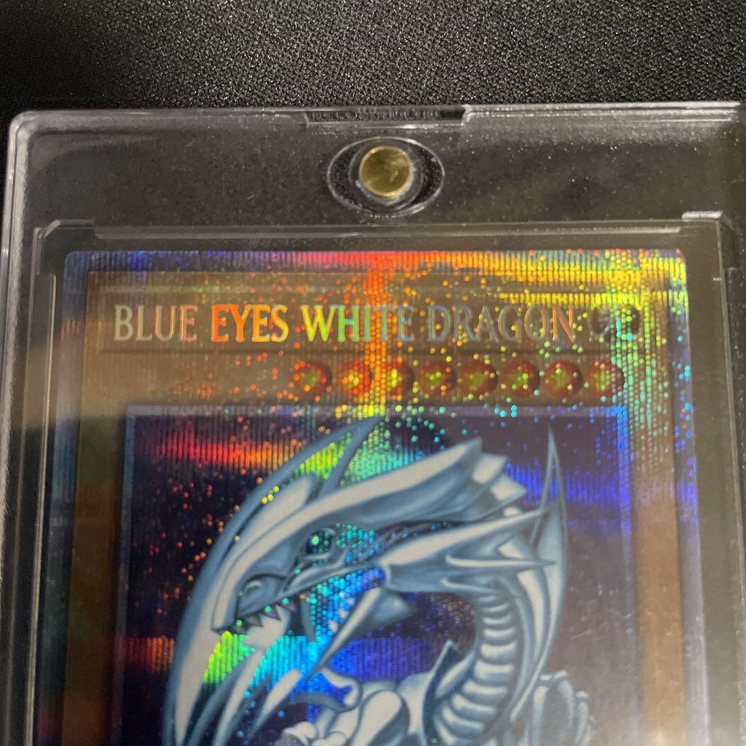 美品五つ目個体　青眼の白龍　英語版　プリシク