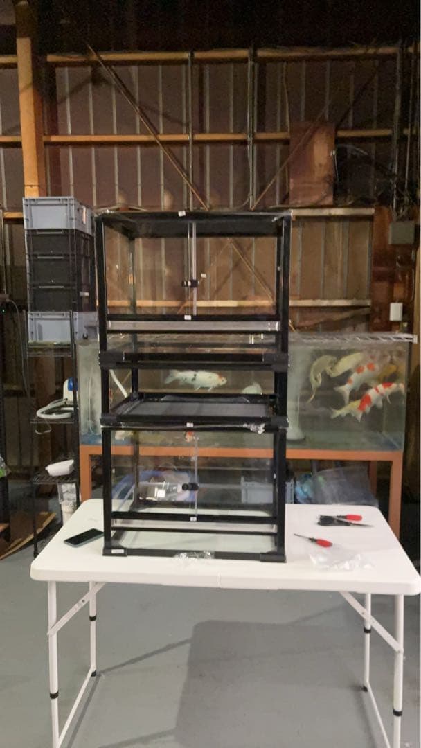 問屋ケージ爬虫類60x45x45cm両生類飼育組み立て式ガラス飼育ケージ送料込み