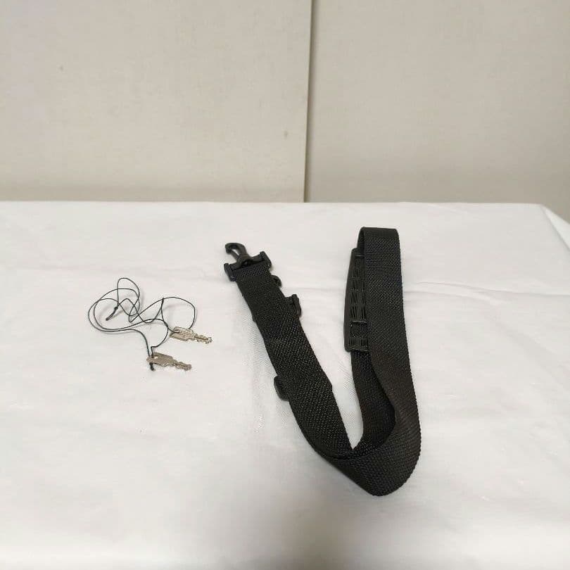 【美品】ANA バイオリン ハードケース 限定品