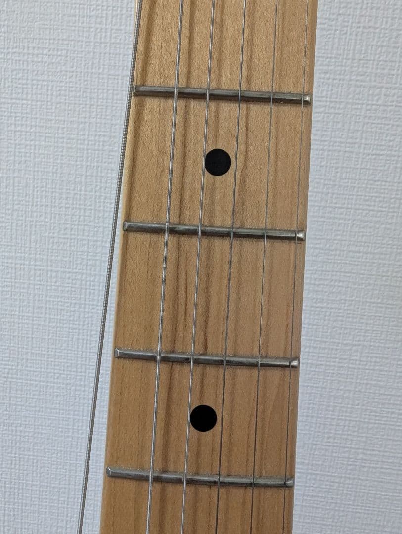 FUJIGEN　Neo Classic NTE10MAH　VNT　テレキャスター