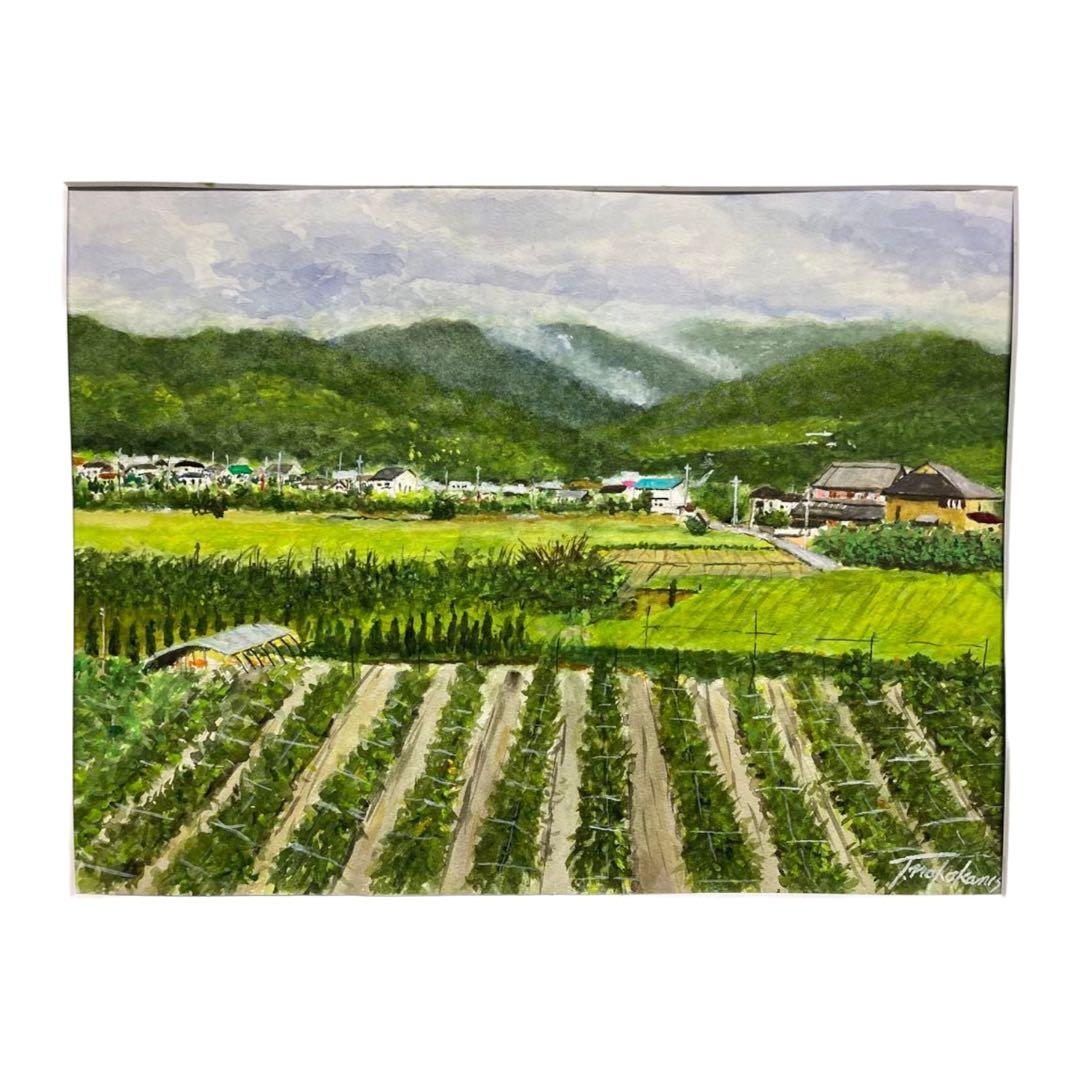 No. 1【初夏の紀の川里風景】