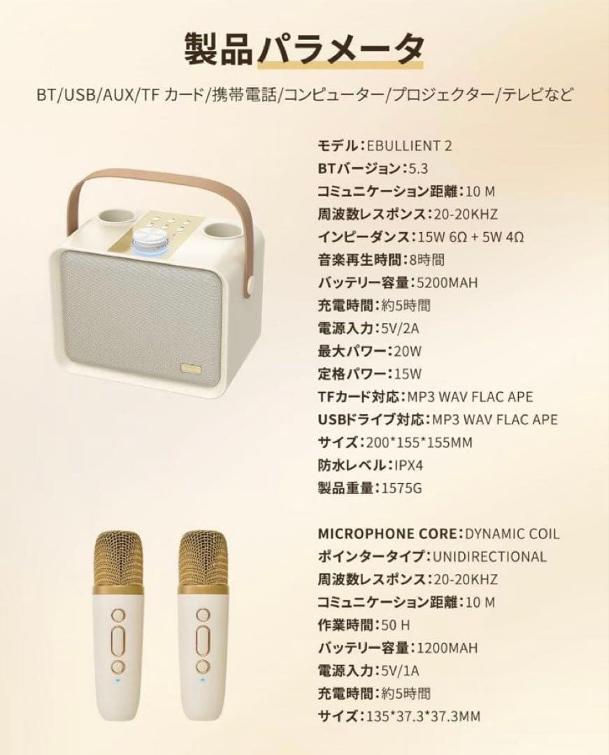 Blueera カラオケセット家庭用 BT マイク 2本 ワイヤレスカラオケ