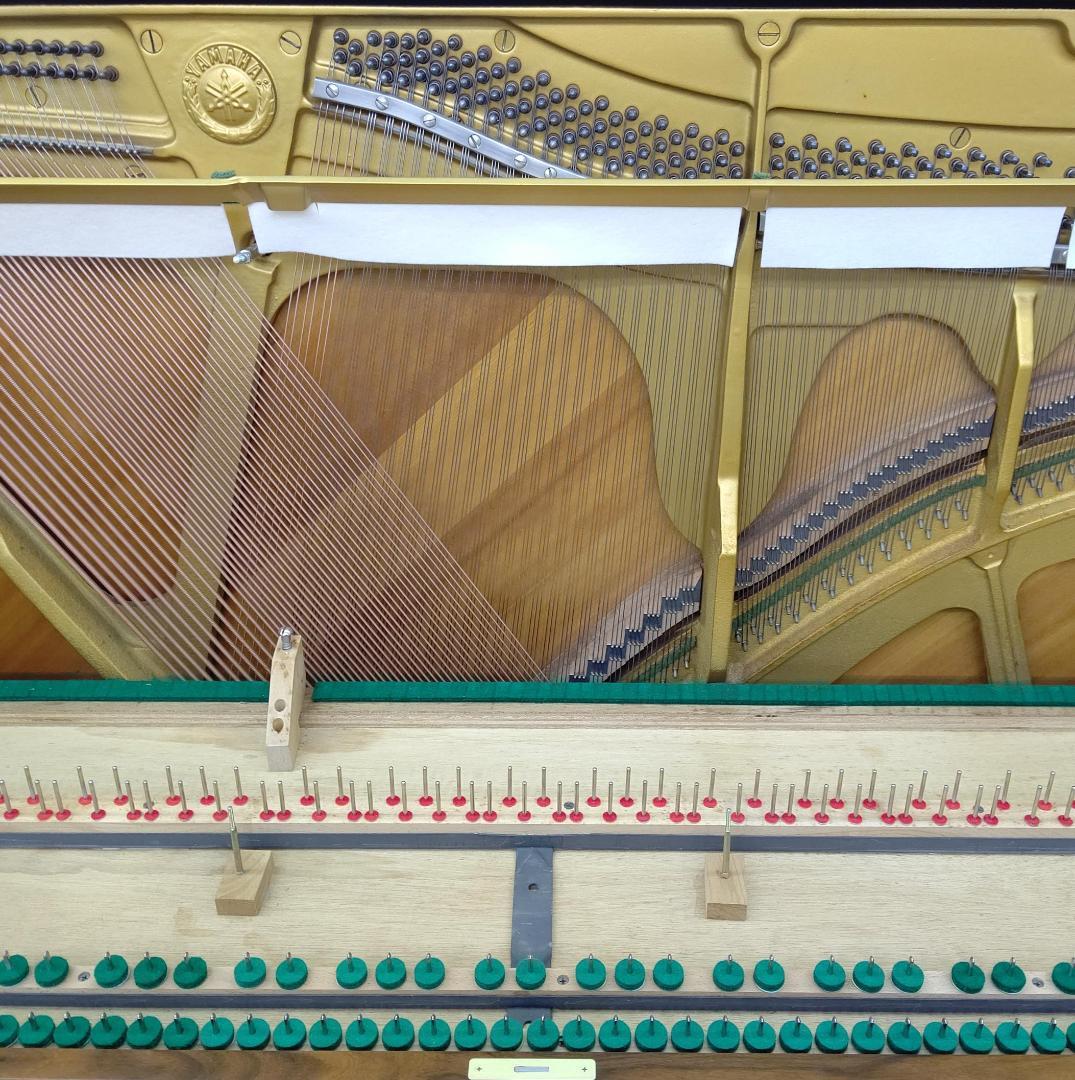 ヤマハ W101【美品/希少ローズウッド】内部調整(整調/整音済) YAMAHA