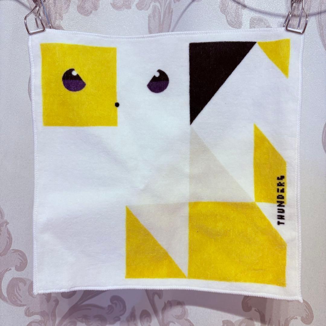 ポケモンセンターオリジナル タオルハンカチ コンドウアキ EVS