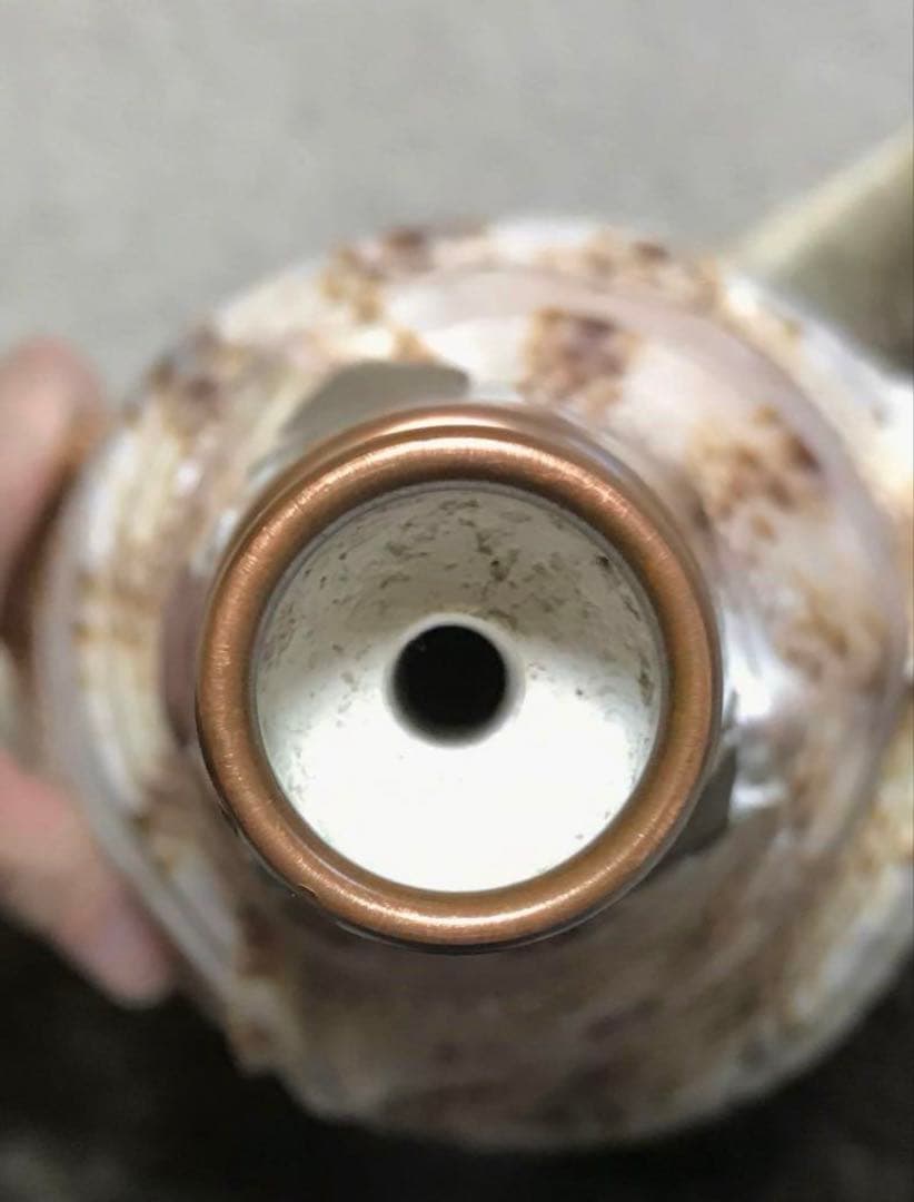 【超美品】42cm超え　大型法螺貝(ほら貝ホラ貝)