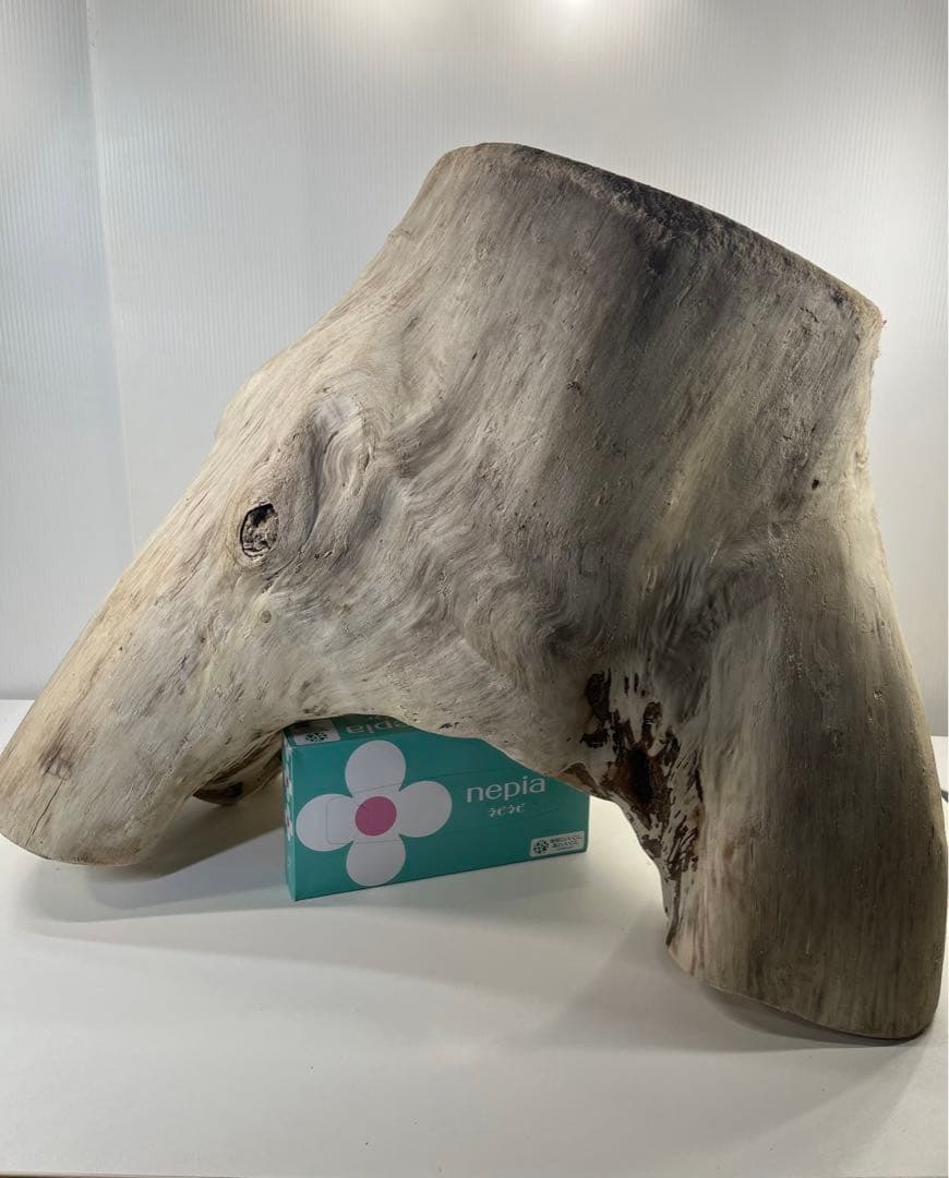 r86特大流木 アク抜き済み 爬虫類シェルター インテリア オブジェ テラリウム