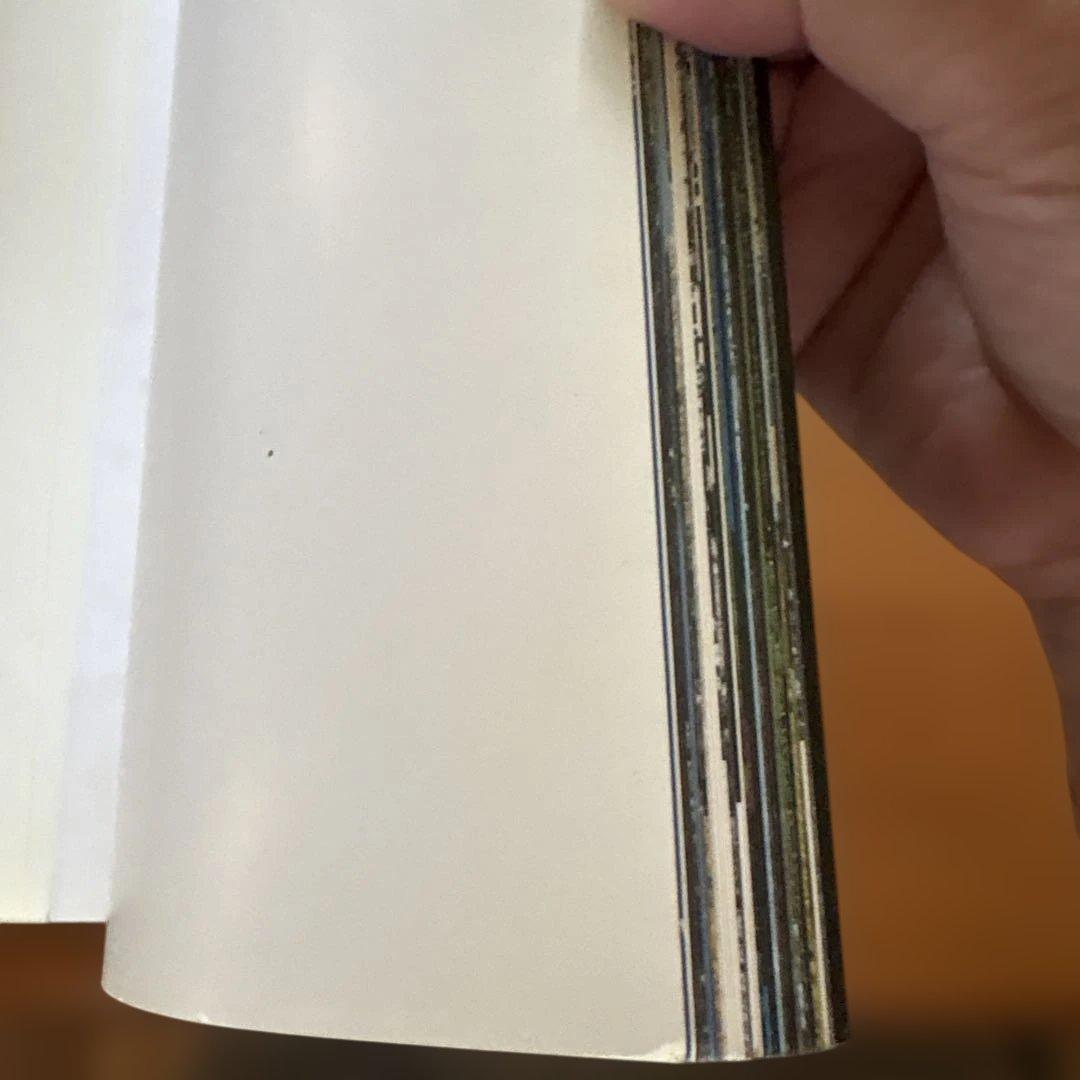 さようなら特急電車 ひばり・はつかり・いなほ・つばさ・とき