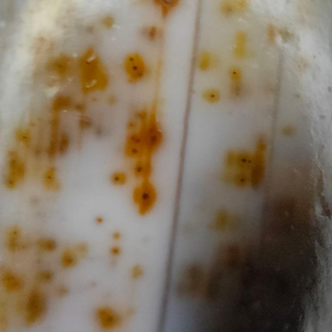 A27 朱砂老礦三眼天珠　天然石　鉱物　風水　開運　御守り　天珠　ブレスレット