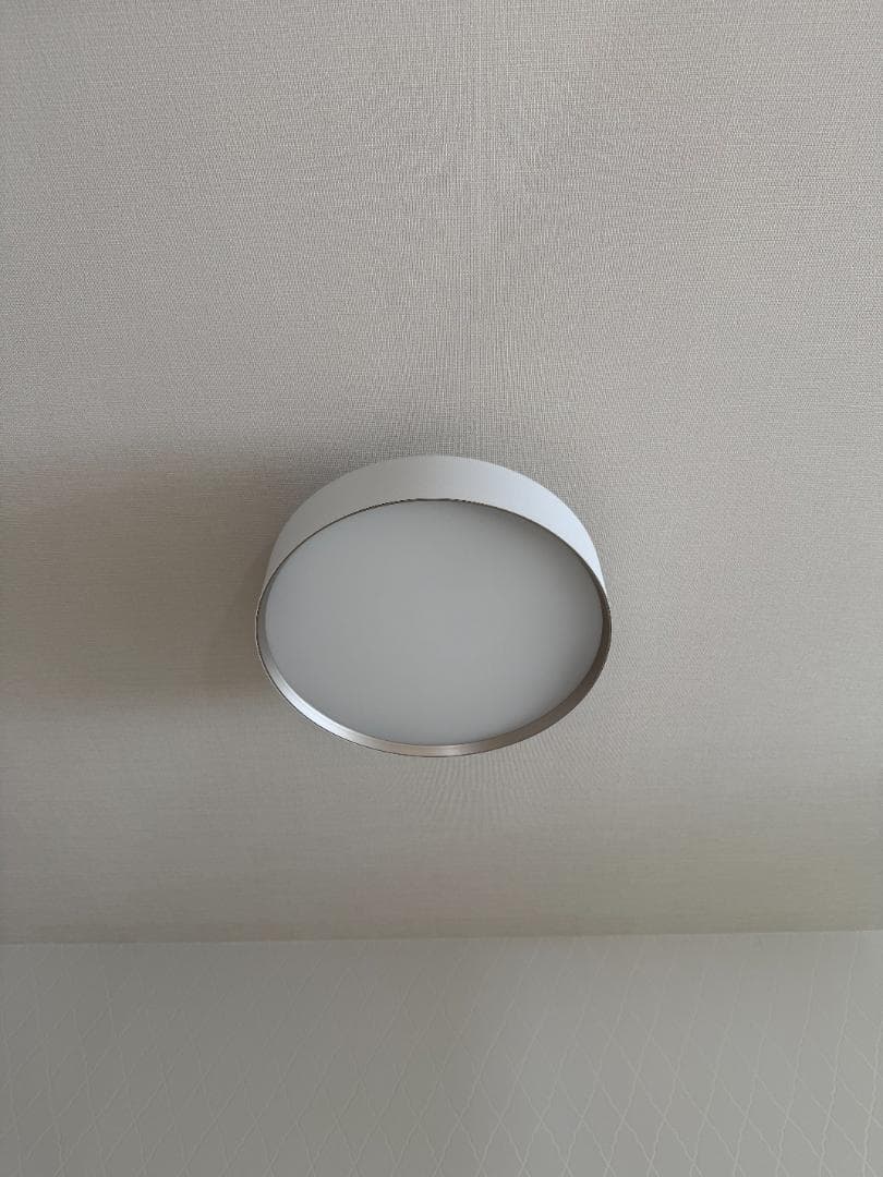 シーリングランプ【アートワークスタジオ公式】ホワイト