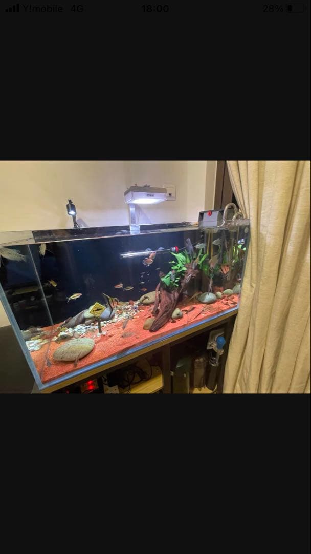 20Lろ材水質浄化抜群濾過フィルター自社製高品質セラミックリング送料込み