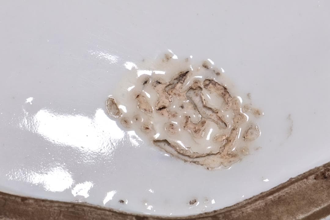 江戸中期　古伊万里　美人形　飾皿　変形皿　色絵金彩　巾40.5㎝ BJ201