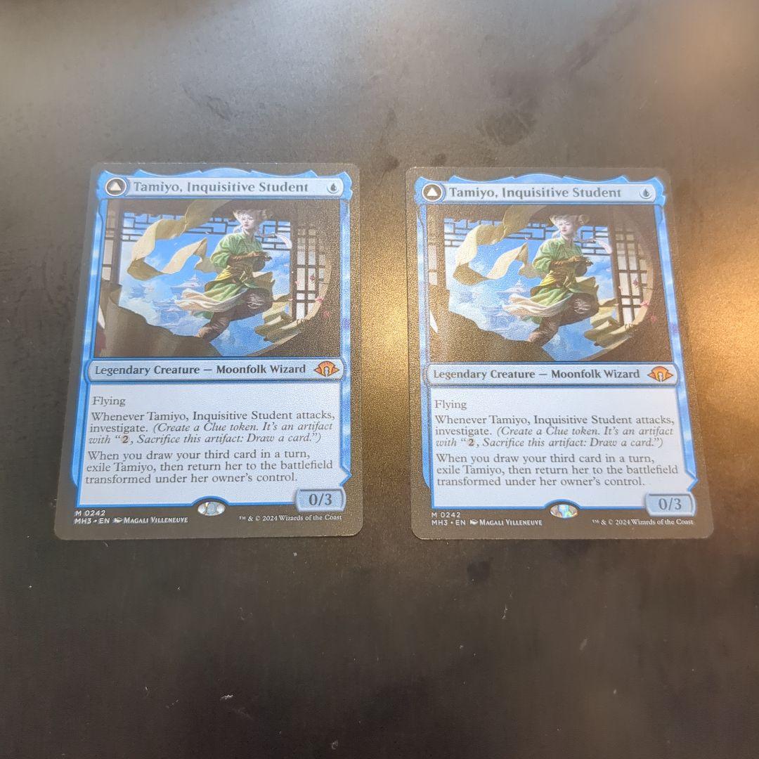 知りたがりの学徒、タミヨウ　英語版　2枚セット