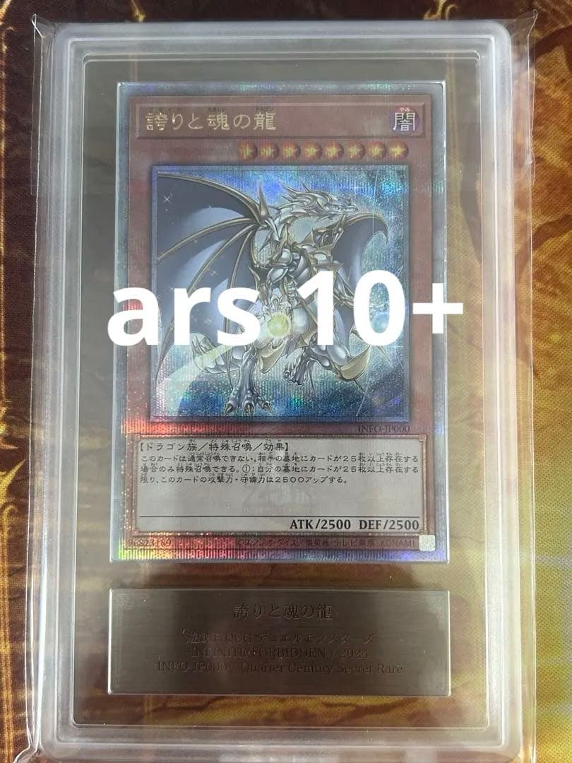 【ARS10+】誇りと魂の龍　25th 日版【ほこたま】