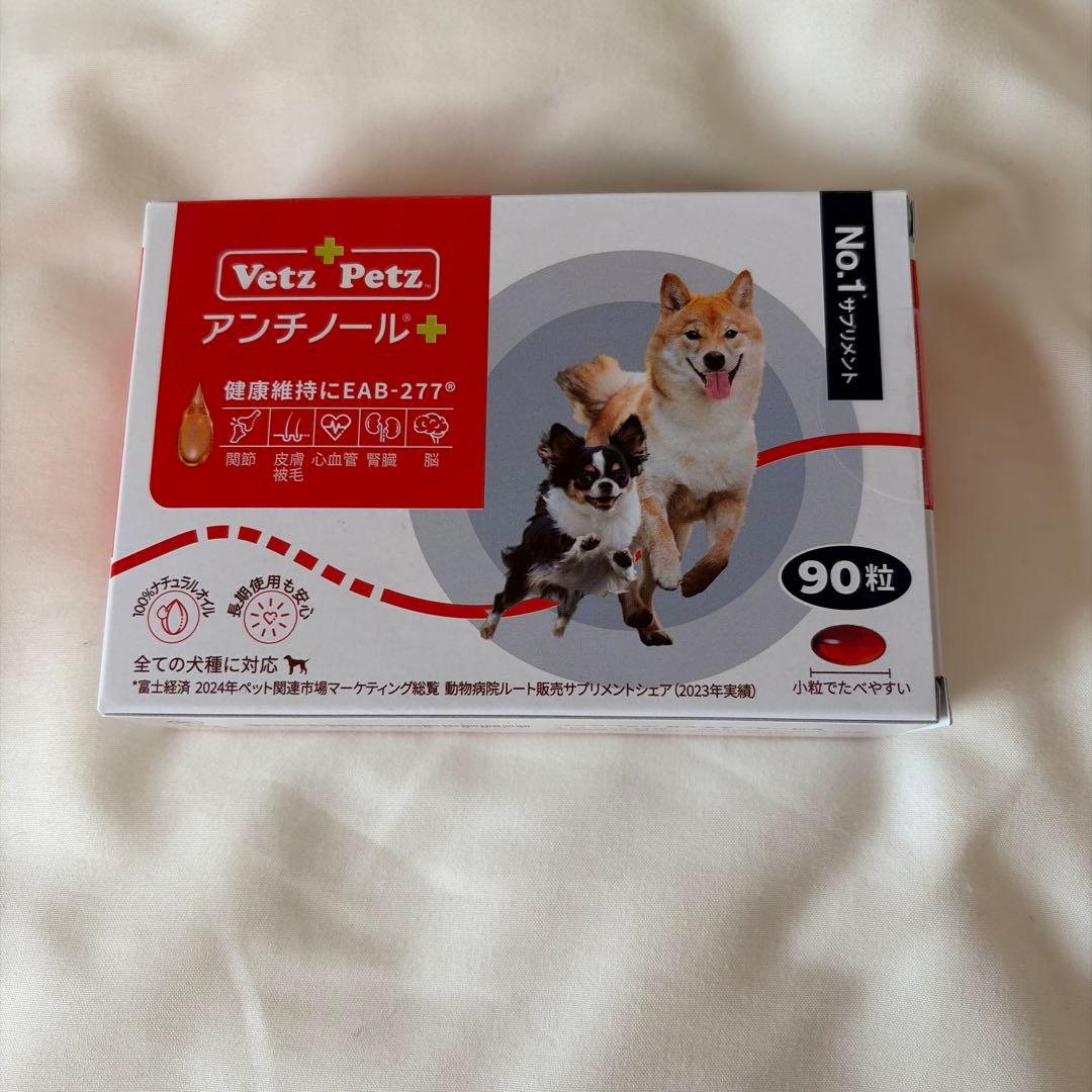 アンチノールプラス90粒