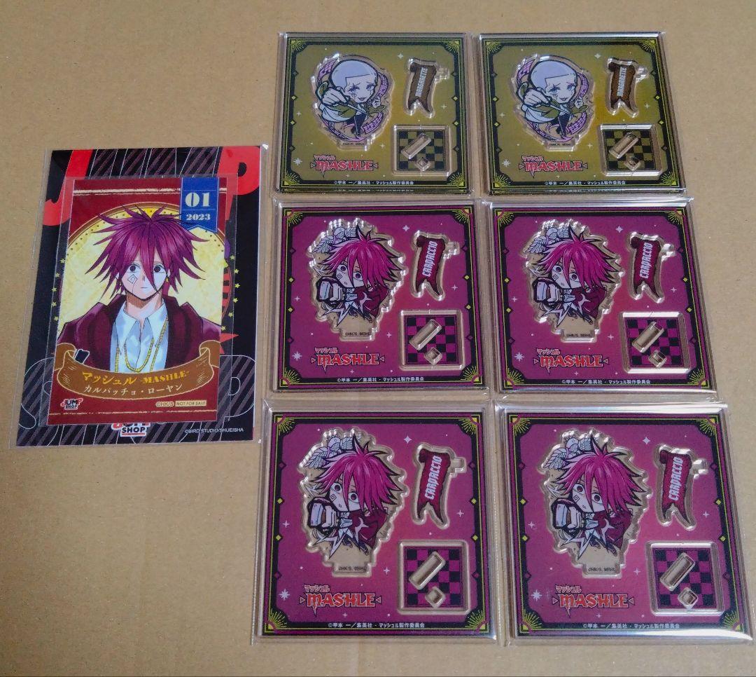 マッシュル　ブロマイド　カルパッチョ