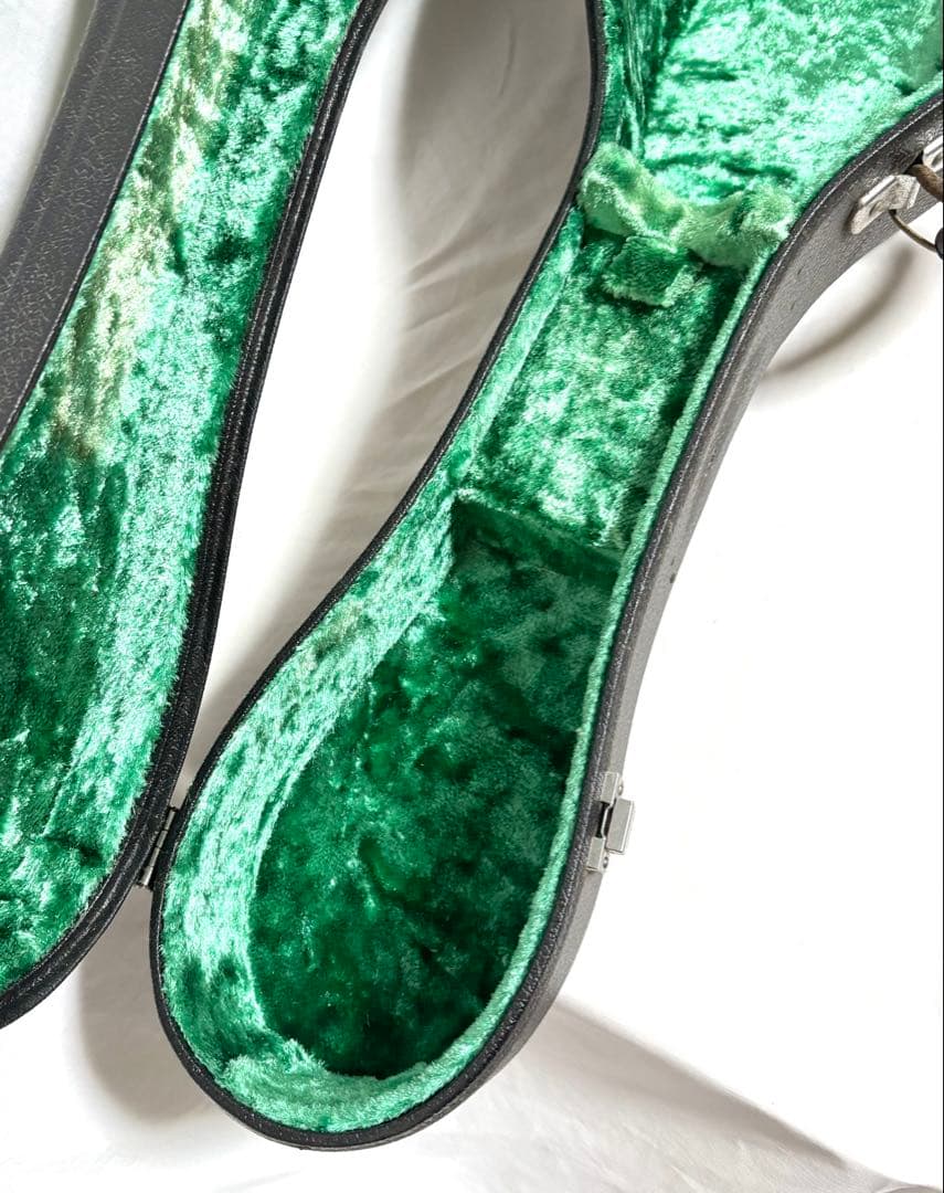 マンドラ用 ハードケース