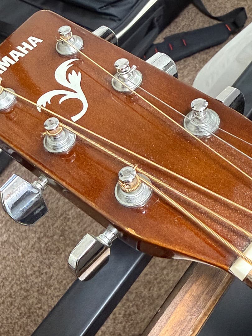 Yamaha F-310 ヤマハ＋ Gator製ギグケース