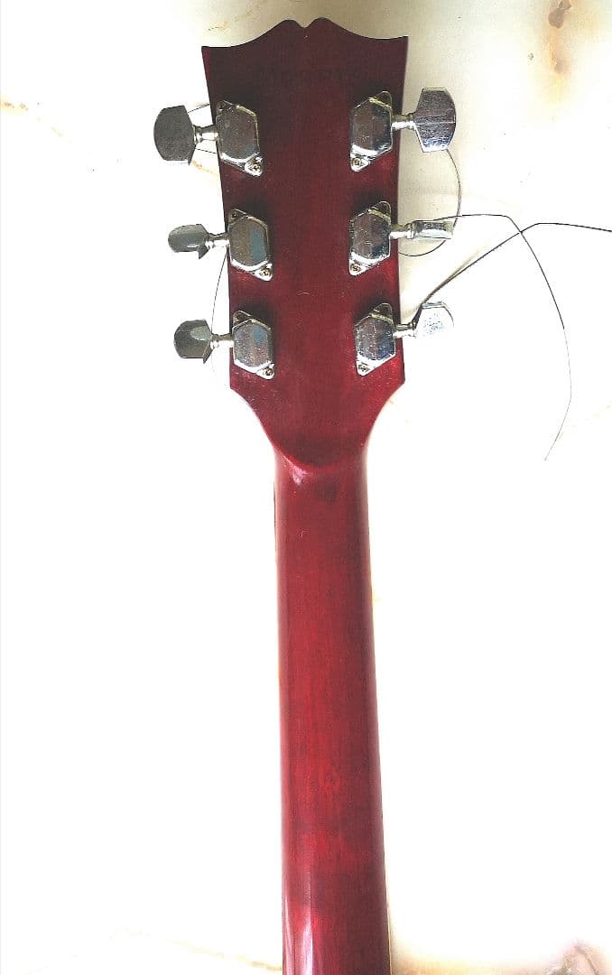 Morris モーリス WD-25N アコースティックギター ダヴモデル