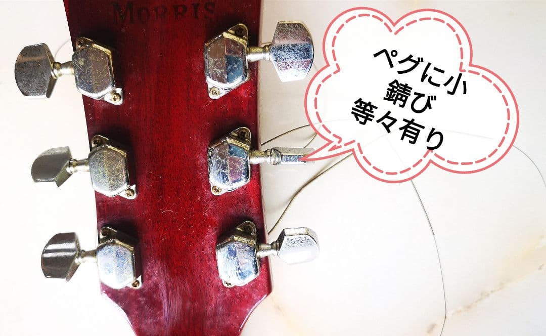 Morris モーリス WD-25N アコースティックギター ダヴモデル