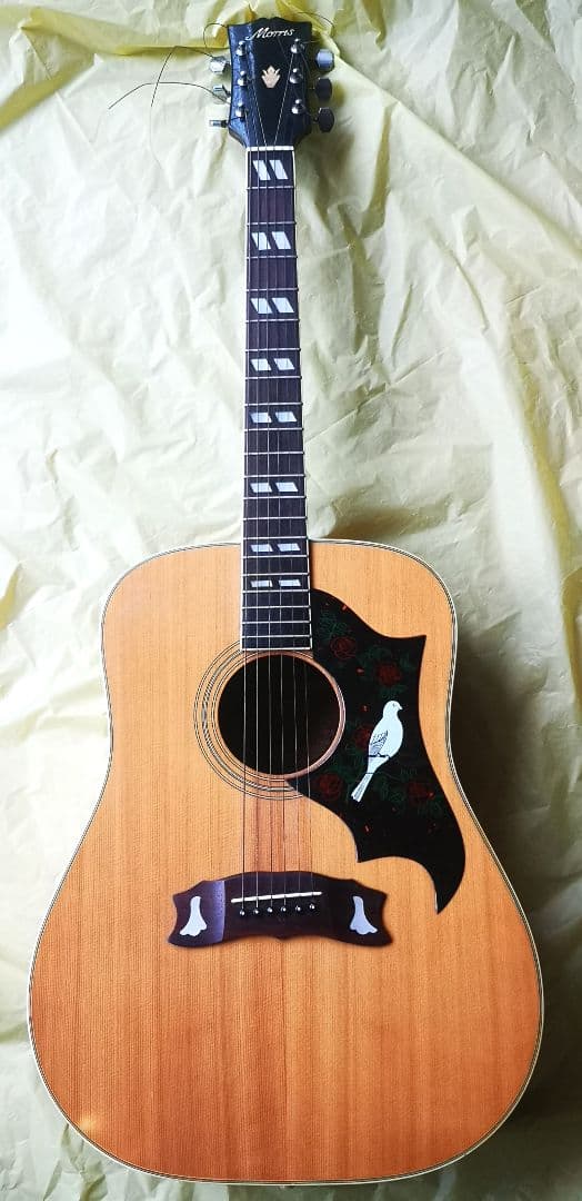 Morris モーリス WD-25N アコースティックギター ダヴモデル