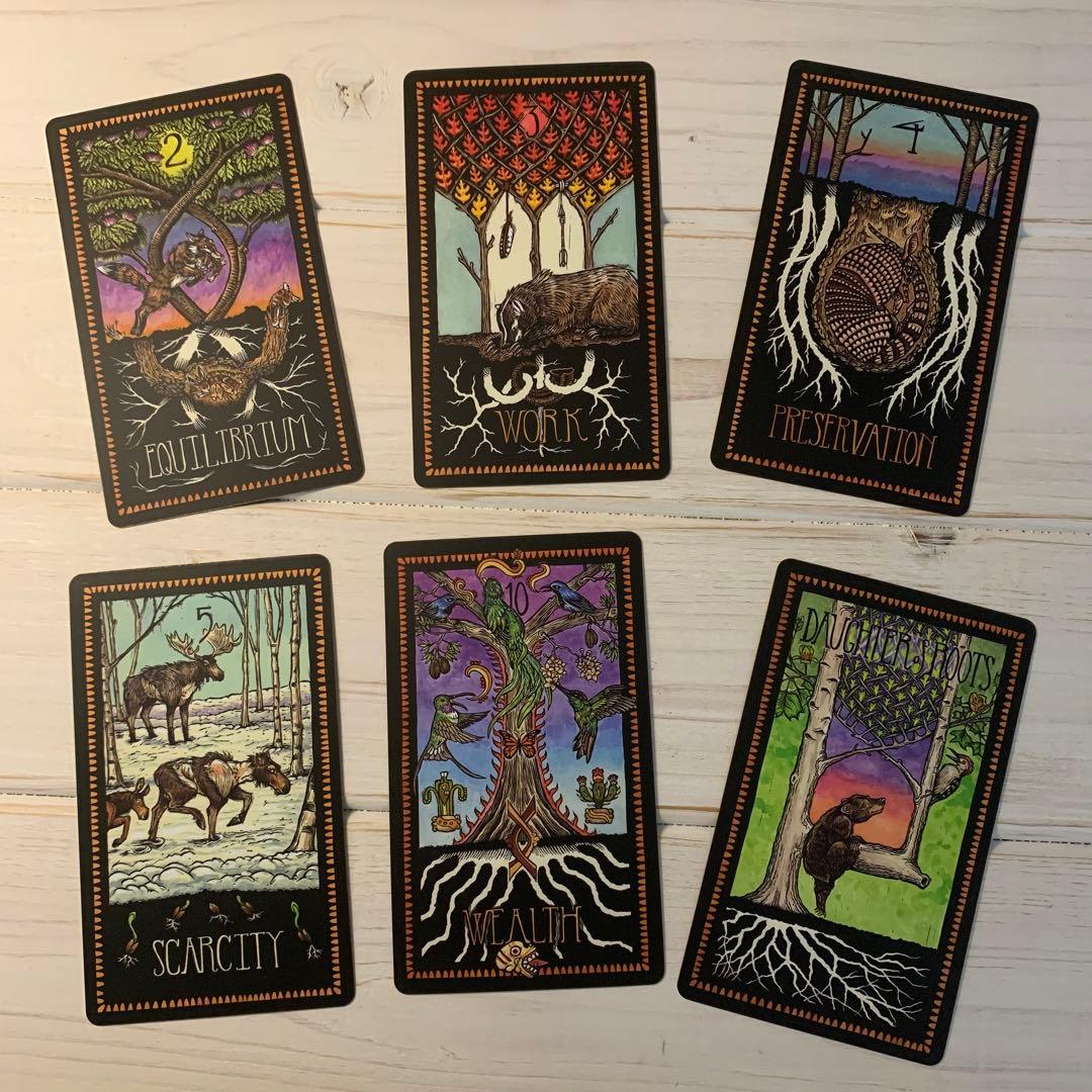 THE BRADY TAROT 海外タロットカード