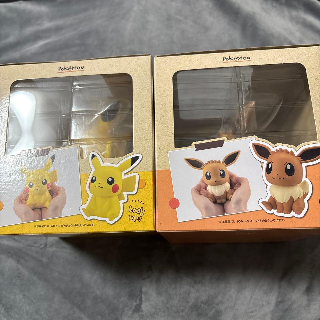 ルカップ　イーブイ、ピカチュウ