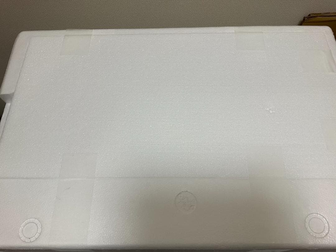 oki_kさん専用 ゴジラ1954 ギガンティックシリーズ FSL