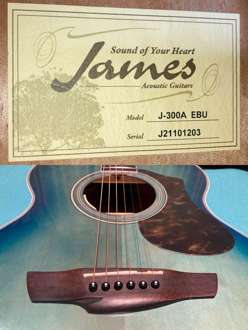 James J-300A/EBU 【最安値】ジェームスギター