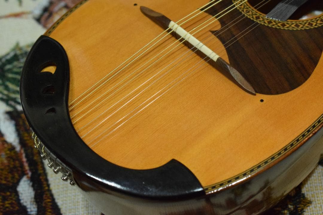 【新品弦張り替え済】Suzuki マンドリン M-210【ハードケース付】