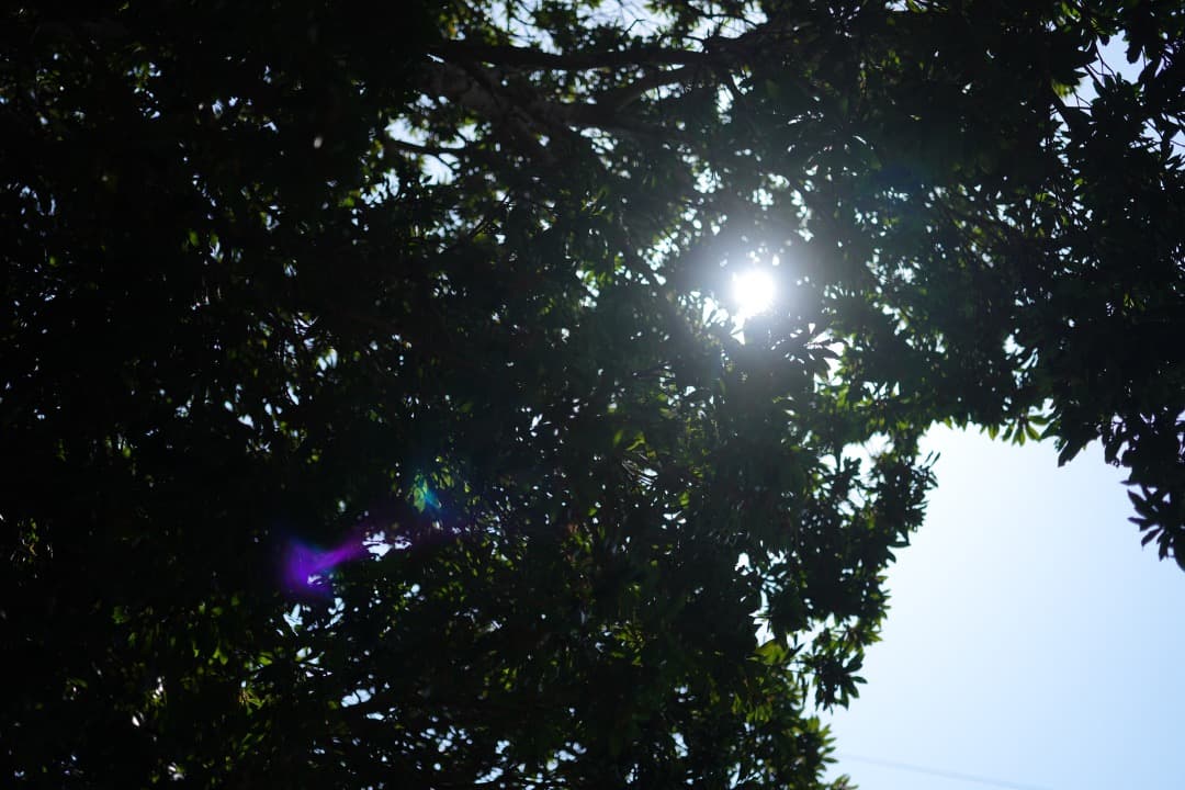 【最高の1本】Carl Zeiss Batis 40mm F2 CF付属品完備