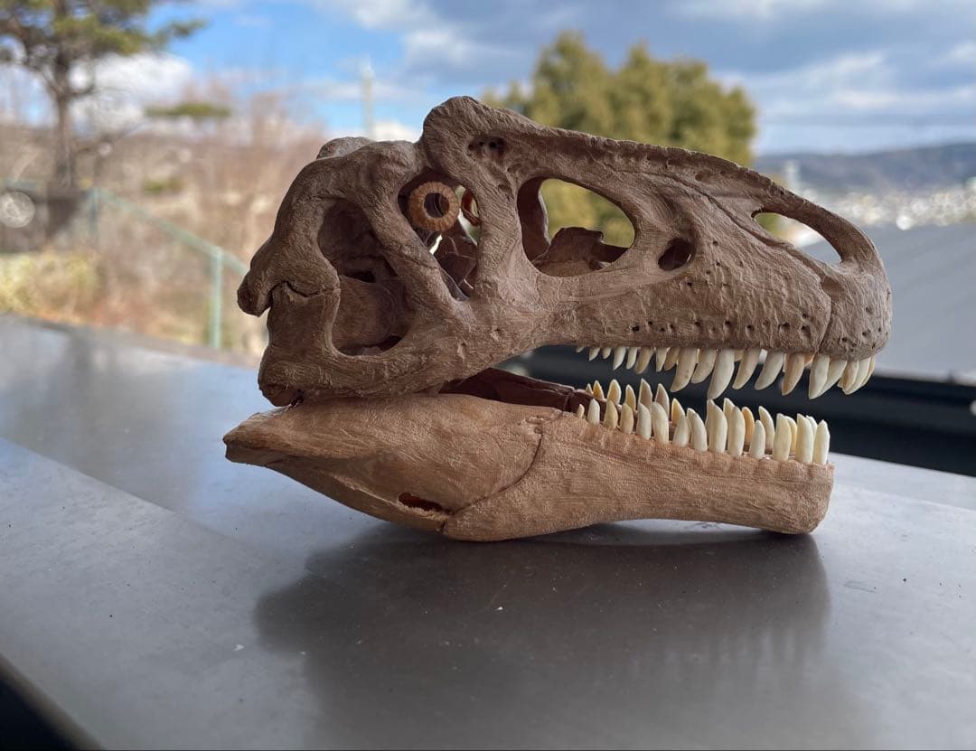 木彫　恐竜　アロサウルス頭骨模型　1/10スケール