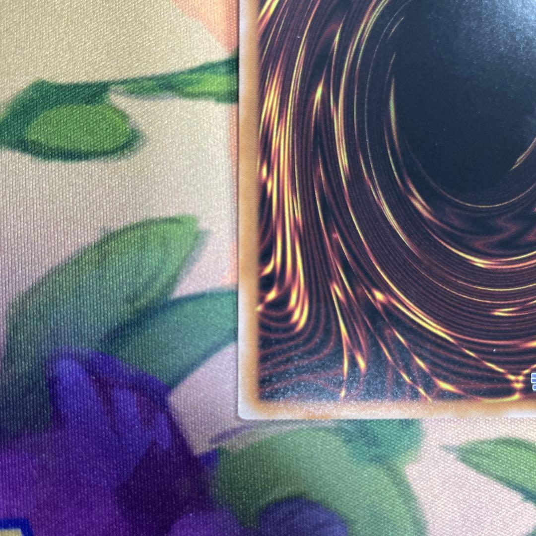 魔術師の弟子　ブラックマジシャンガール　25th