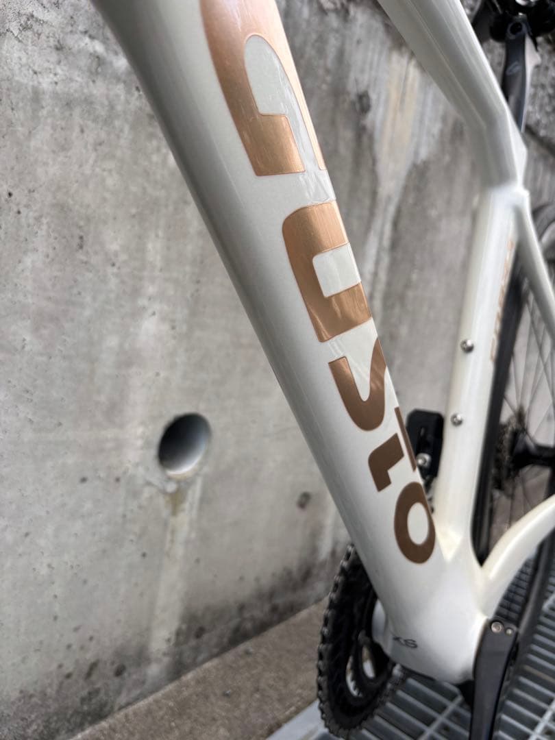 自転車本体 GUSTO Cobra evo sport di2 105
