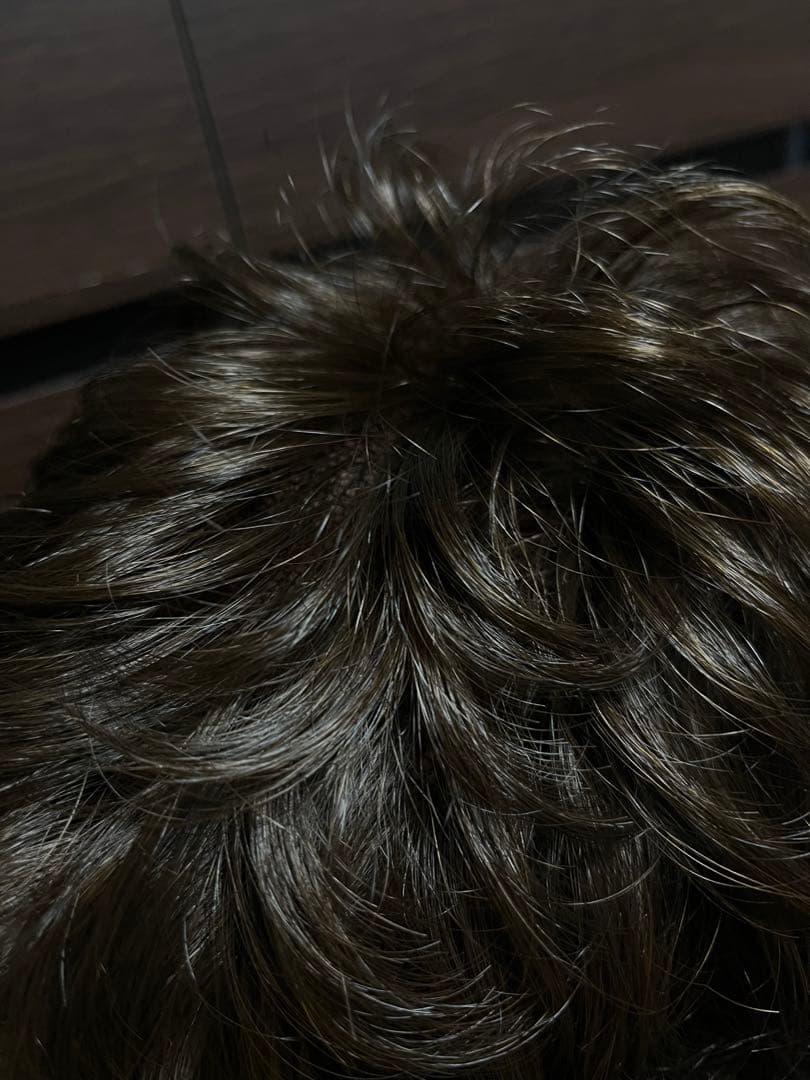 【新品・未使用】フォンテーヌ　ウィッグ　デラックス29