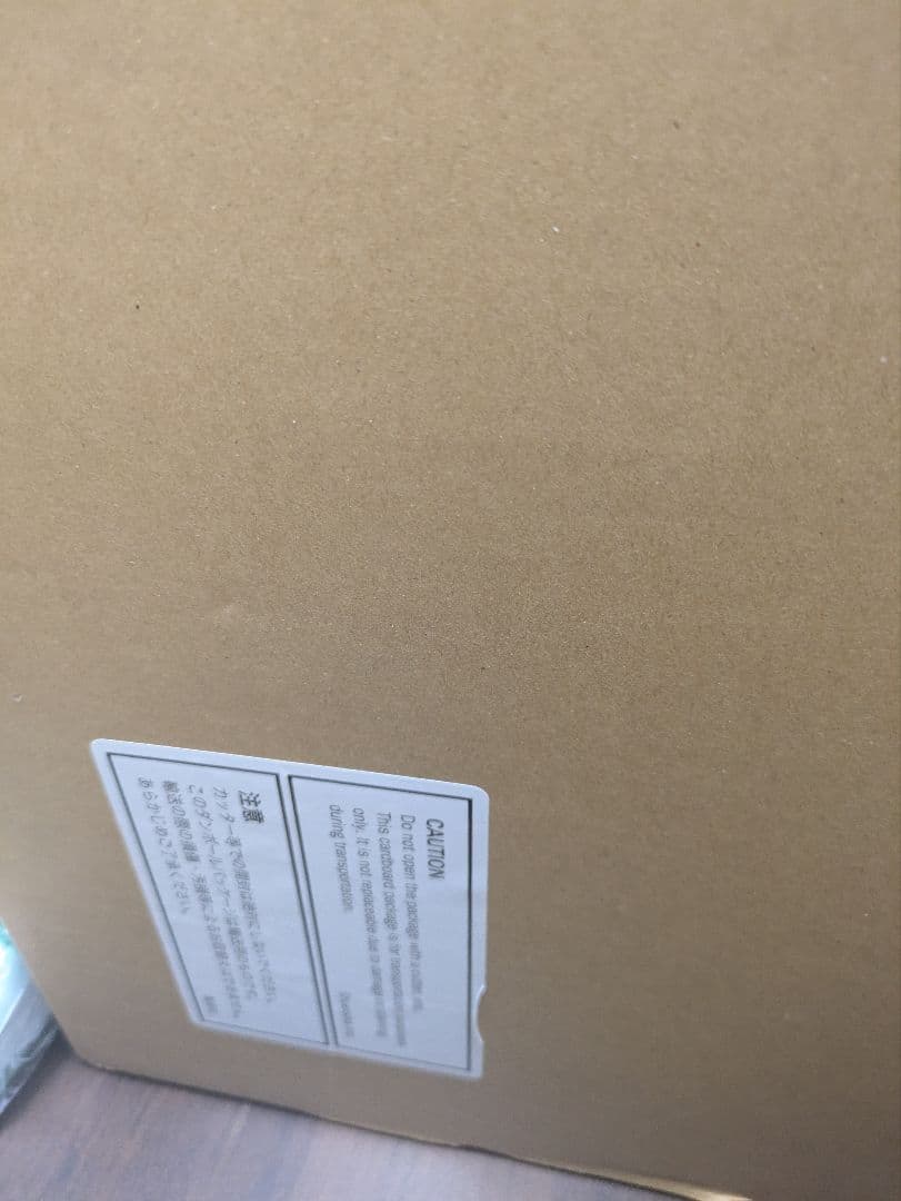 世界20枚限定 ONE PIECE 海底遺跡 NFT 原画  超希少 ワンピース