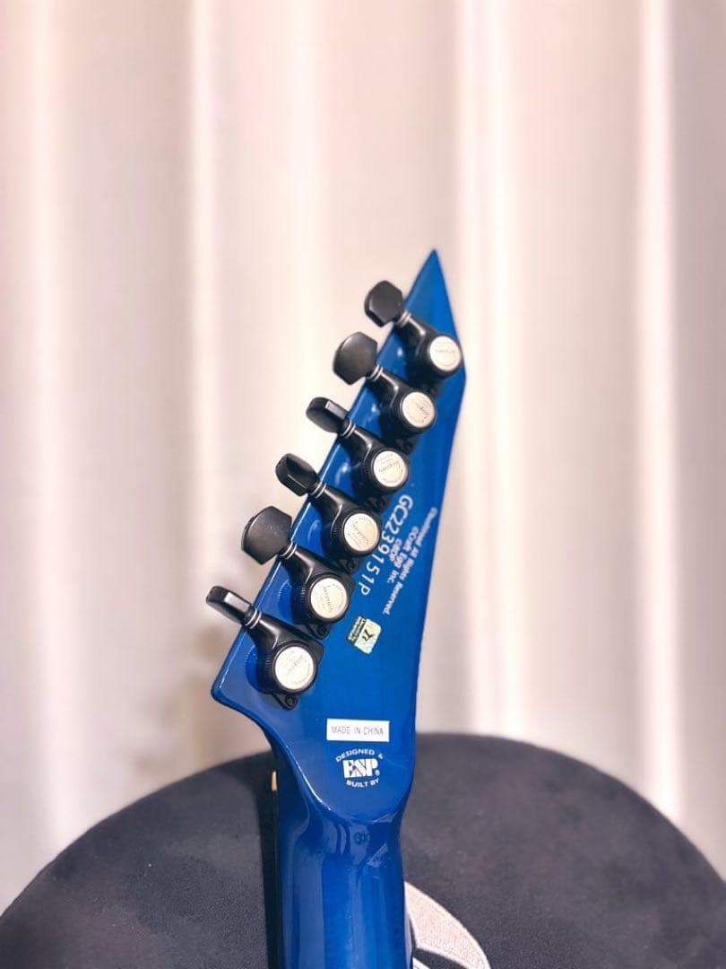 【セイモアダンカン、ロックペグ交換】Bang Dream! M-Ⅱ SAYO