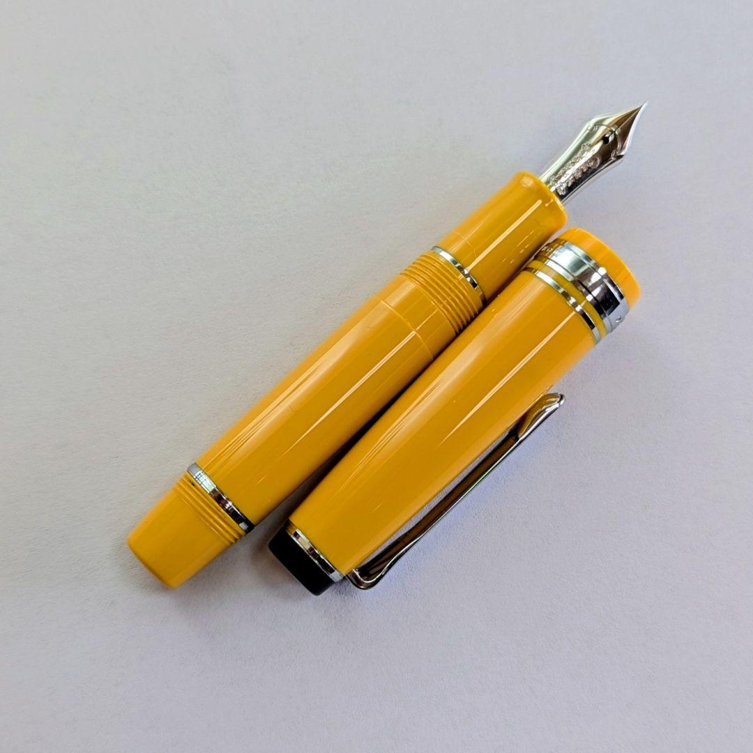 Y*o様 NAGASAWA オリジナル万年筆　ペンスタイルメモ プロギア スリム