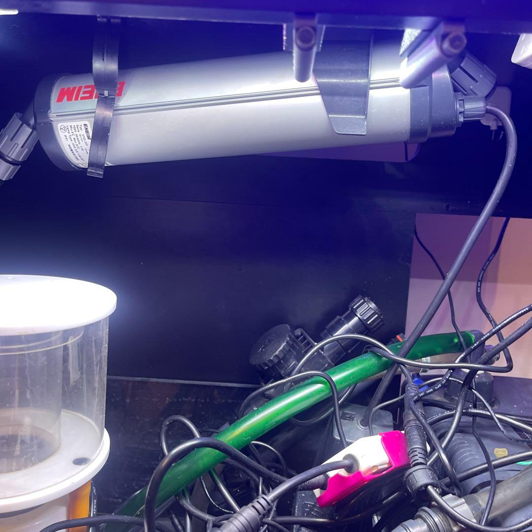 Red Sea REEFER 250 オーバーフロー水槽