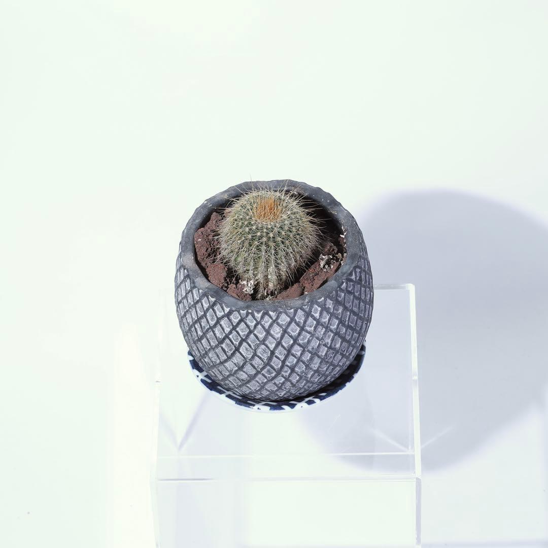 【完動品】Canon EF 100-300mm f/4.5-5.6 ズームレンズ