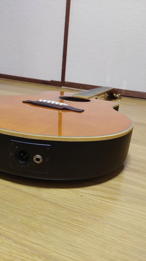 Epiphone El Rio (ケース付き)