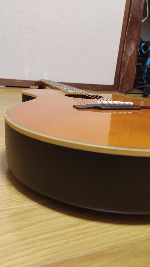 Epiphone El Rio (ケース付き)