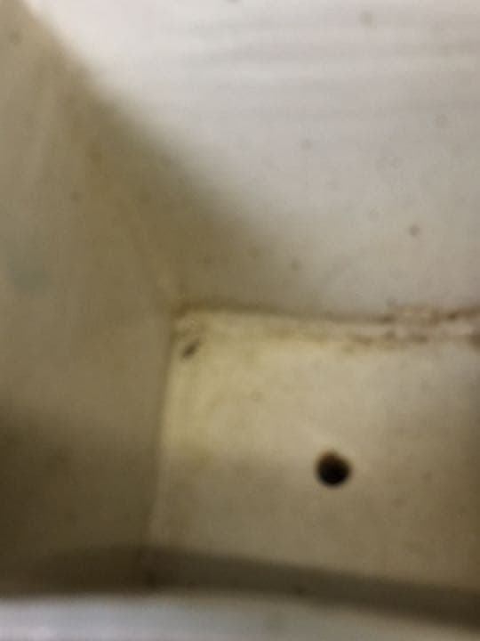 染付青花蘭鉢 清中期 中国古董品 年代物