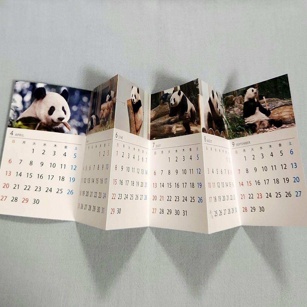 シャンシャン　ミニカレンダー　クリアファイル　大パンダ展　非売品