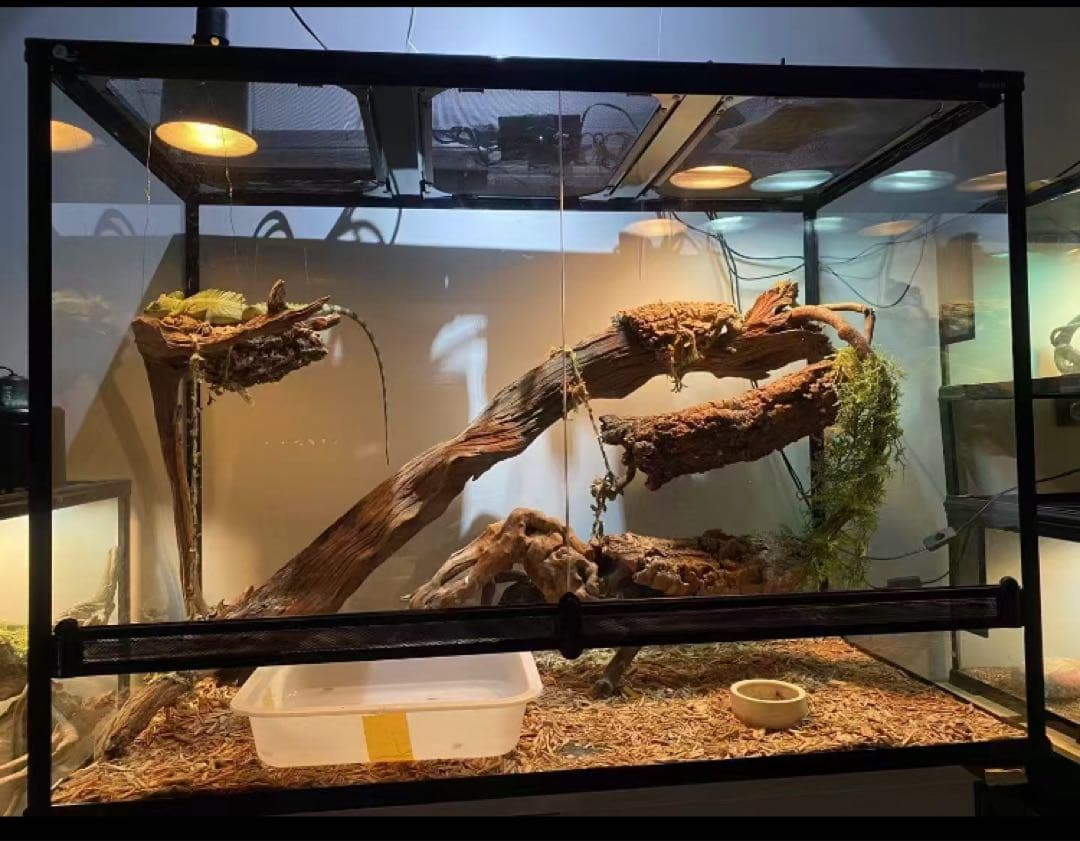 爬虫類両生類飼育ケージ組み立て式 ガラス飼育ケージ60x40x80cm引取り限定