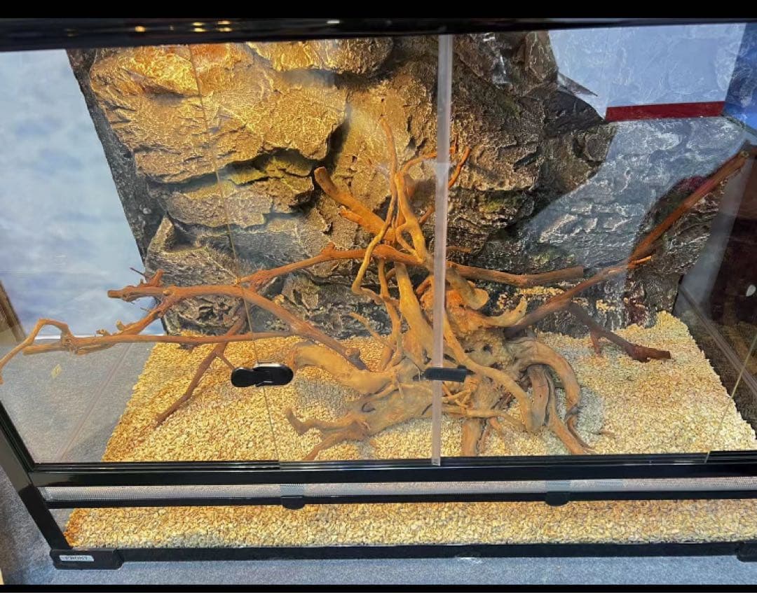 爬虫類両生類飼育ケージ組み立て式 ガラス飼育ケージ60x40x80cm引取り限定