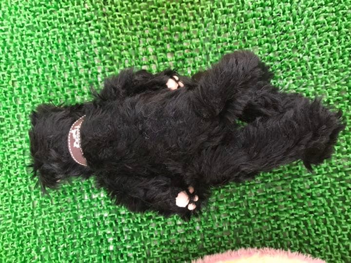 国内作家様の可愛い黒猫ゃんテディ5ジョイント　アンティーク品