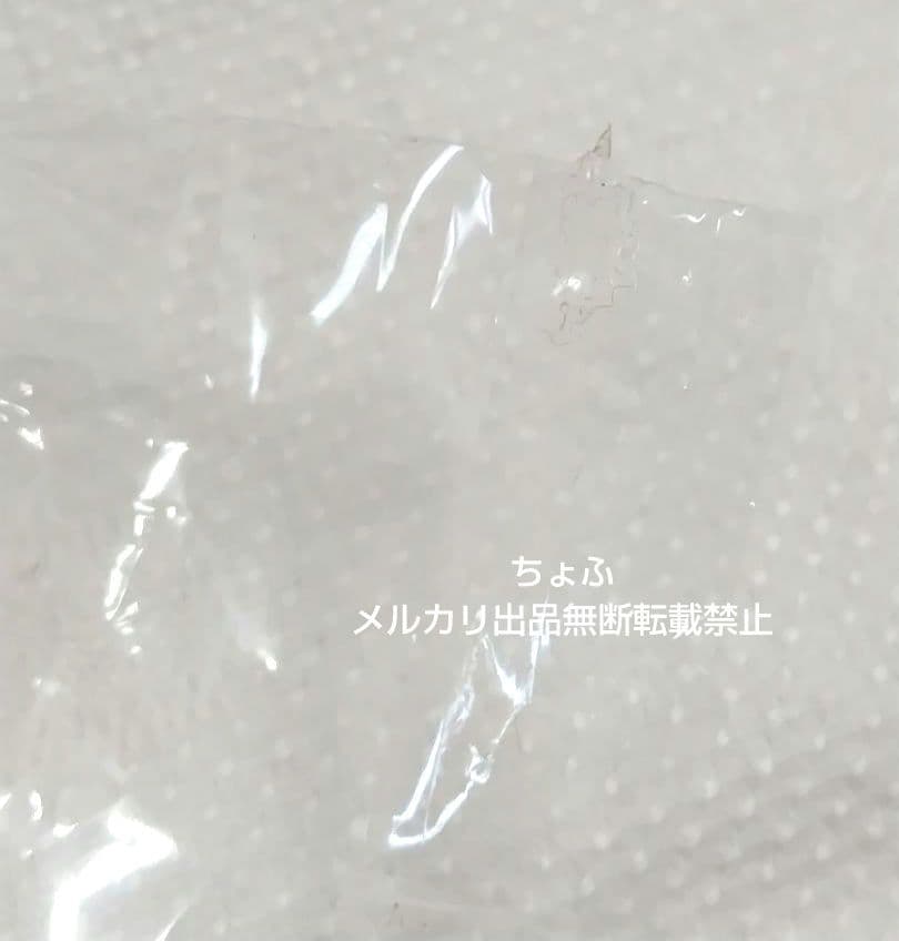 SAN-X ももんがモモちゃん エゾももちゃん マスコットキーチェーン平成レトロ