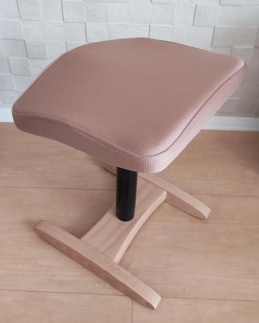 美品 Balans Synergy バランスシナジー カバー付 北欧 腰痛